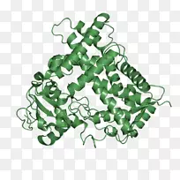 树型树-空若网 树型树-空若网