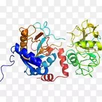 平面设计有机体剪贴画设计-空若网 平面设计有机体剪贴画设计-空若网