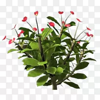 花盆花瓶-空若网 花盆花瓶-空若网