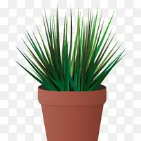 ���ʦ�ֻ��̲�-������