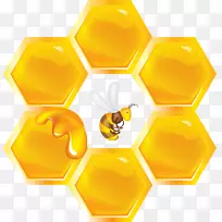 蜜蜂蜂巢昆虫-空若网 蜜蜂蜂巢昆虫-空若网