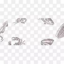 画耳素描-设计-空若网 画耳素描-设计-空若网