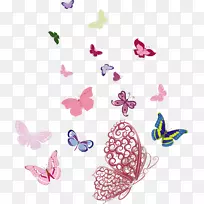 蝴蝶昆虫群-蝶群-空若网 蝴蝶昆虫群-蝶群-空若网