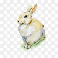 ºÉÀ¼²Ê»æÍÃ×Ó¸´»î½ÚË®²Ê»ÍÃ×Ó-¿ÕÈôÍø ºÉÀ¼²Ê»æÍÃ×Ó¸´»î½ÚË®²Ê»ÍÃ×Ó-¿ÕÈôÍø