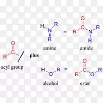 胺酰基官能团化学-空若网 胺酰基官能团化学-空若网