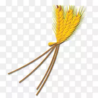 �̱��ƹ���ʳƷ��-���ǰ�-������