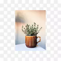 咖啡杯陶瓷花盆杯-空若网 咖啡杯陶瓷花盆杯-空若网