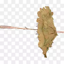 Ò¶Ö¦Ö²Îï¾¥Ò¶-¿ÕÈôÍø Ò¶Ö¦Ö²Îï¾¥Ò¶-¿ÕÈôÍø