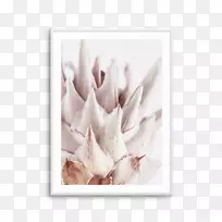 普拉王艺术花瓣水彩画独角戏-空若网 普拉王艺术花瓣水彩画独角戏-空若网