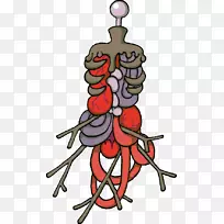 ��ͨƬ���Ӽ�����-˵����-������