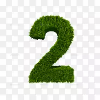 数树灌木叶树-空若网 数树灌木叶树-空若网