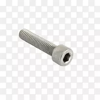 ��˿���̼���Ʋ�Ʒ-�ݸ�PNGͼ��-������