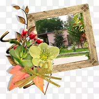 花卉设计切花花束花瓣花-空若网 花卉设计切花花束花瓣花-空若网