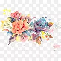 水彩画.水彩肉-空若网 水彩画.水彩肉-空若网