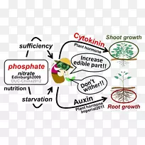 品牌树线标志剪贴画-树-空若网 品牌树线标志剪贴画-树-空若网