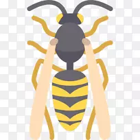蜜蜂黄蜂昆虫图标-蜜蜂-空若网 蜜蜂黄蜂昆虫图标-蜜蜂-空若网