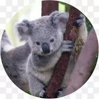 �������д��ɰ�С������-������