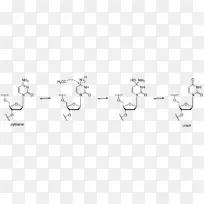 纸白树字体树-空若网 纸白树字体树-空若网