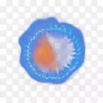 圆形近距离有机体壁纸-气体火焰-空若网 圆形近距离有机体壁纸-气体火焰-空若网