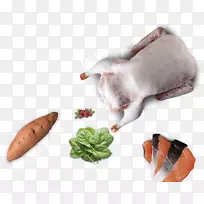 狗食宠物食品-空若网 狗食宠物食品-空若网