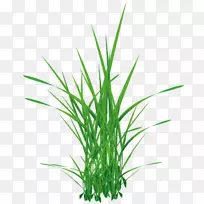 ÉãÓ°¼ô¼ÒÕÊõ-¿ÕÈôÍø ÉãÓ°¼ô¼ÒÕÊõ-¿ÕÈôÍø