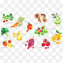 �߲�ˮ�ʻ�ֽ��ʳ���߲�-������