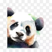 ����èˮ�ʻ�-����è-������