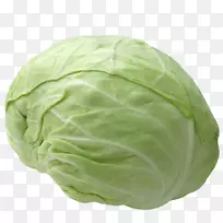 ʮ�ֻ����߲ˣ�ͷ״�����߲ˣ�ɳ�߲ˣ����Ĳˣ����ˣ��߲�-������