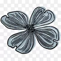 ����Գ���������ͼ��-����-������