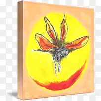 昆虫-空若网 昆虫-空若网