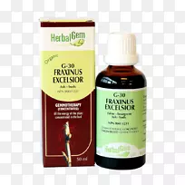 �ڴ�����ʯ�Ʒ�ѿ����ݮ֦-������