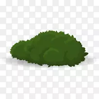 ¹àľ²Ý£¬ÂÌÊ÷£¬Ä¾±¾Ö²Îï-²Ý-¿ÕÈôÍø ¹àľ²Ý£¬ÂÌÊ÷£¬Ä¾±¾Ö²Îï-²Ý-¿ÕÈôÍø