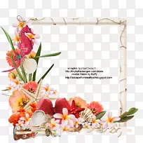 ������ƣ��л����������˹�������ɳ̲����-������