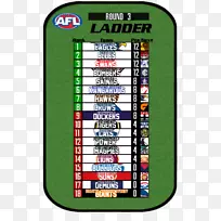 维多利亚足球联赛技术-澳大利亚规则-空若网 维多利亚足球联赛技术-澳大利亚规则-空若网