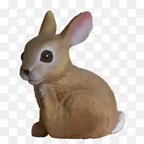 �������룬���ӣ�ë�޶���Ϳɰ������-��-������