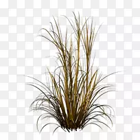 ��Ȫ�ݹ��Ͳ�-ֲ��-������