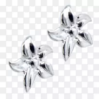 耳环银身首饰.银-空若网 耳环银身首饰.银-空若网