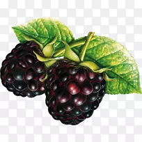 ��ݮ�������ӡ���ɫɣ�������ϡ�Ӥ��ʳƷ-������-������