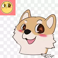 胡须猫鼻子夹艺术猫-空若网 胡须猫鼻子夹艺术猫-空若网