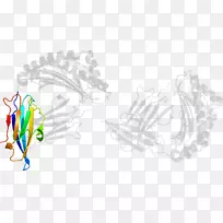 ƽ����ƻ滭���������-������