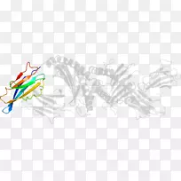 平面设计线艺术剪贴画设计-空若网 平面设计线艺术剪贴画设计-空若网