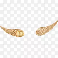 金色翅膀-金色翅膀-空若网 金色翅膀-金色翅膀-空若网