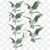 喙动物叶焦-空若网 喙动物叶焦-空若网