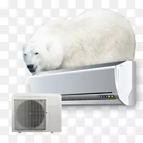 北极熊鼻子-北极熊-空若网 北极熊鼻子-北极熊-空若网