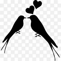 爱情鸟吻剪影剪贴画-鸟-空若网 爱情鸟吻剪影剪贴画-鸟-空若网