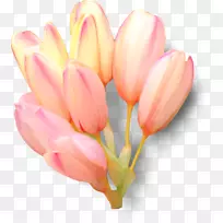 �����㻨���л���������-������-������