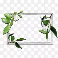 画框花卉设计-西安-空若网 画框花卉设计-西安-空若网