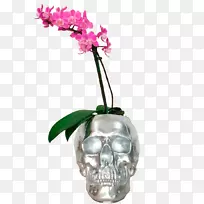 切花花盆头盖骨开花植物头骨-空若网 切花花盆头盖骨开花植物头骨-空若网