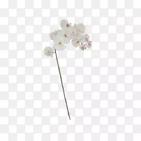 珠宝首饰-珠宝-空若网 珠宝首饰-珠宝-空若网