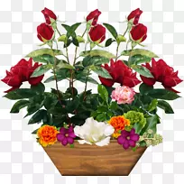 花卉博客形象托管服务-空若网 花卉博客形象托管服务-空若网